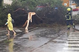 Nevrijeme i pijavica u Istri