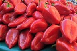 "Tropic" i "Moj market": Za vi­ken­d sjaj­na ci­je­na pa­pri­ke ...