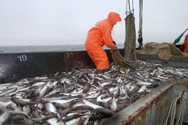 Rusija zaplijenila tri sjevernokorejska ribarska broda