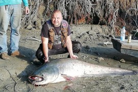 Ulovio soma teškog 98 kg, pomogli mu i hrvatski pecaroši