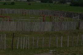 Najmasovnija stradanja kroz istoriju