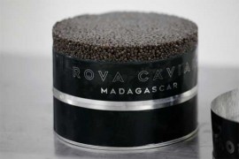 Madagaskar proizvodi najbolji kavijar svijeta