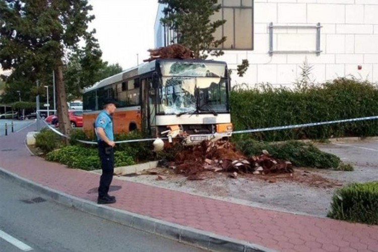 Goli do pasa ukrali autobus i napravili haos