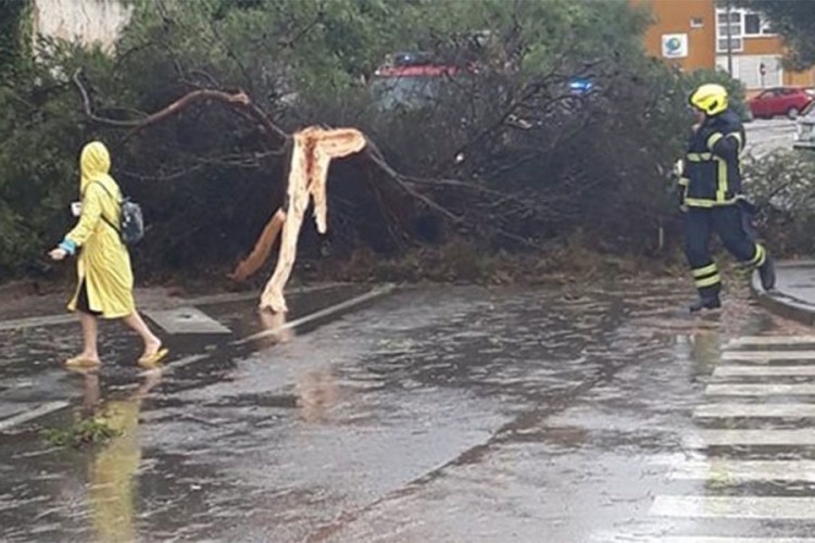 Nevrijeme i pijavica u Istri