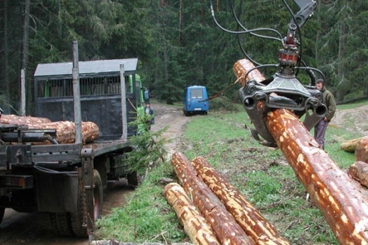 Tri osobe šumskom gazdinstvu pričinile štetu od 240.000 KM