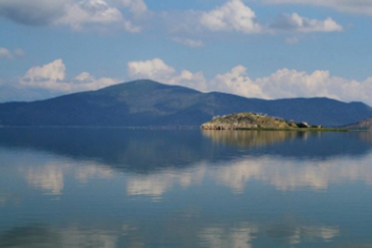 Masovni pomor ribe u jezeru Koronija