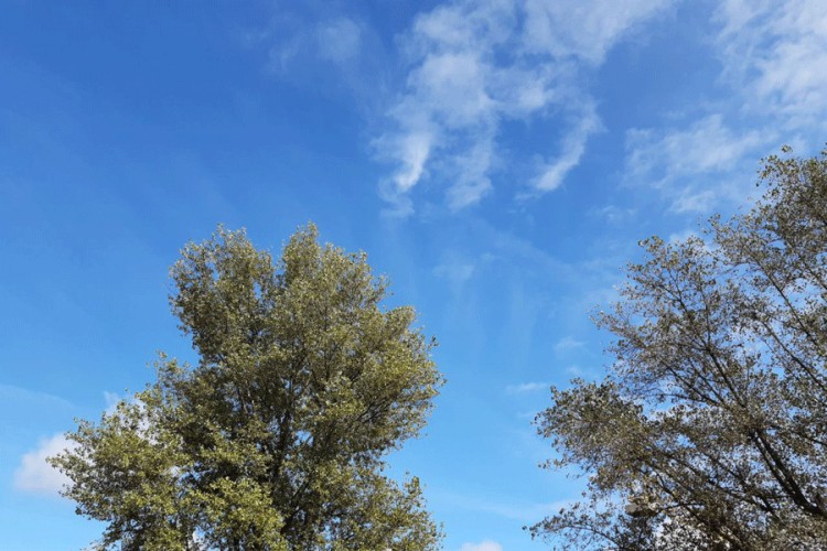 U BiH pre­težno sunčano