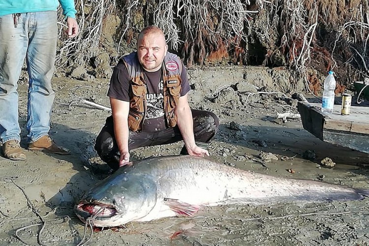 Ulovio soma teškog 98 kg, pomogli mu i hrvatski pecaroši