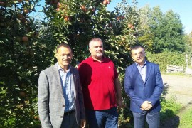 Rod voća u mnogim voćnjacima iznad prosjeka