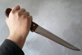 Zločin u Kaluđerici, sin zaklao majku