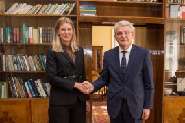 "Švedska će nastaviti podršku BiH u procesu integracije u EU"