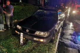 Oluja u Novoj Gradišci, drveće padalo na automobile