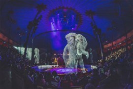 Cirkus u kojem nema pravih životinja