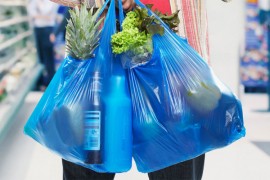Plastične kese biće uskoro zabranjene u Novom Sadu