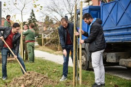 700 novih stabala u banjalučkim drvoredima