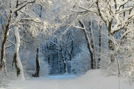 Objavljena velika prognoza za zimu