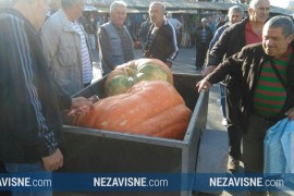 Bundeva teška 200 kilograma privukla pažnju Banjalučana