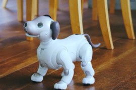 Robot-pas ne traži hranu ni šetnju, košta oko 3.000 dolara