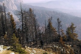 Vatra na Romaniji ugašena nakon sedam dana