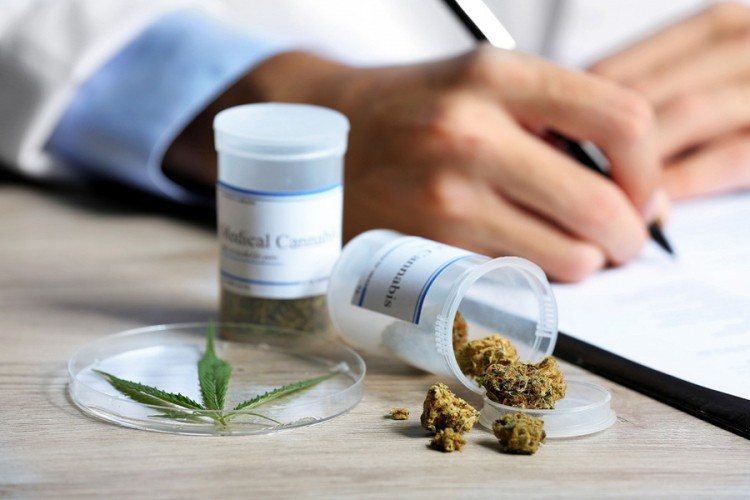 Država finansira istraživanja medicinskog kanabisa