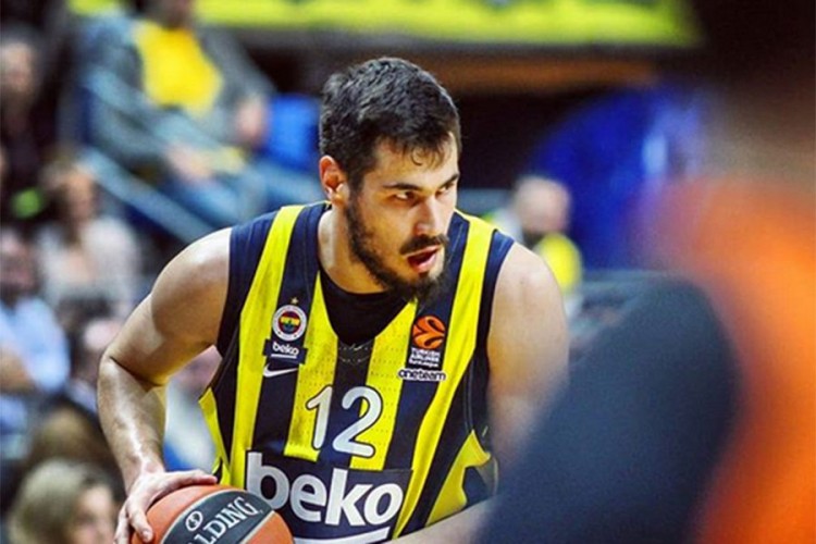 Navijači Zvezde Kaliniću: Nikola Turčine