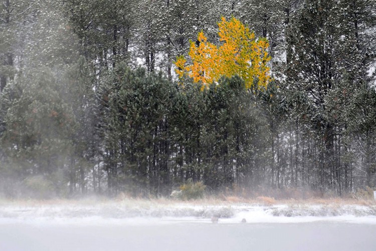 Temperatura u Koloradu za 24 sata pala čak 30 stepeni Celzijusa