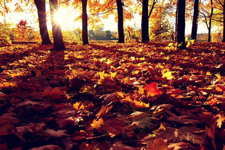 Sunčana nedjelja, temperatura do 27 stepeni