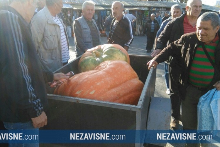 Bundeva teška 200 kilograma privukla pažnju Banjalučana