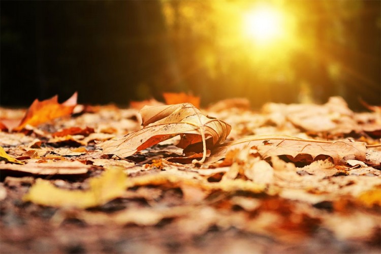 Miholjsko ljeto se nastavlja, temperatura do 28 stepeni