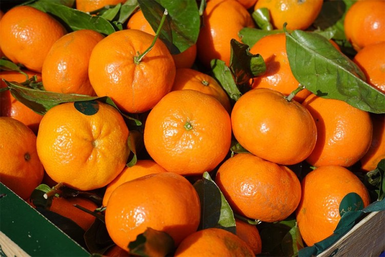 U RS zabranjen uvoz 21 tone mandarina iz Turske