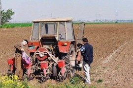Zasijano manje od 50 odsto planiranih površina