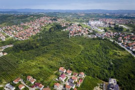 Put koji će promijeniti Lauš