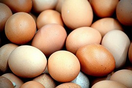 Indijac zbog opklade pojeo 41 jaje i umro