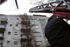 Prijedorski vatrogasci u akciji: Spasili mačku sa drveta, hvatali ...