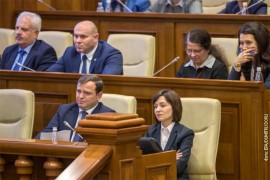 Pala vlada Moldavije
