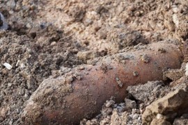 U Bijeljini "nakratko" ukradena avio-bomba dok su se čekali demineri?