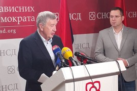 Radmanović: Prijedlog SDS-a i PDP-a ide na štetu Republike Srpske