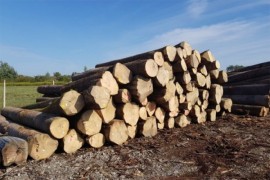 Proizvodnja šumskih sortimenata manja za 1,14 odsto