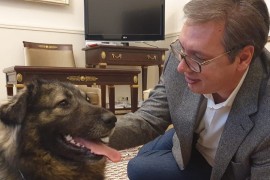 Ljubimac Pako dočekao Vučića u kabinetu
