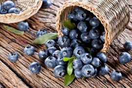 Borovnice i avokado idealni za optimalan rad mozga