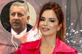 Severinin advokat: Ono što sam vidio na zadnjoj raspravi je ...