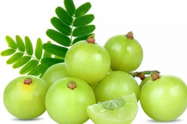Amla: Drevna terapeutska biljka