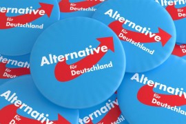 DW: Okršaj dva krila Alternative za Njemačku