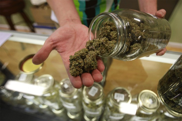 Legalizacija kanabisa privukla bi i profit i turiste u BiH