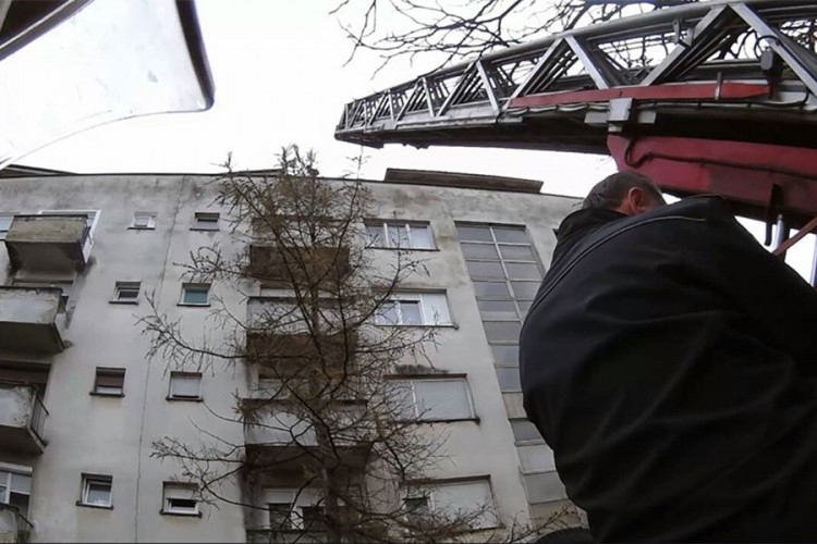 Prijedorski vatrogasci u akciji: Spasili mačku sa drveta, hvatali zmiju u kokošinjcu