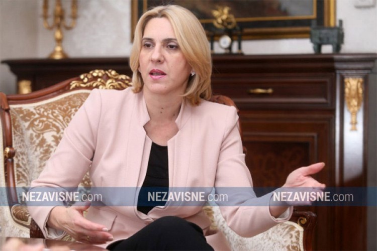 Cvijanović: Zaključci PIC-a stereotipni i usmjerni protiv RS