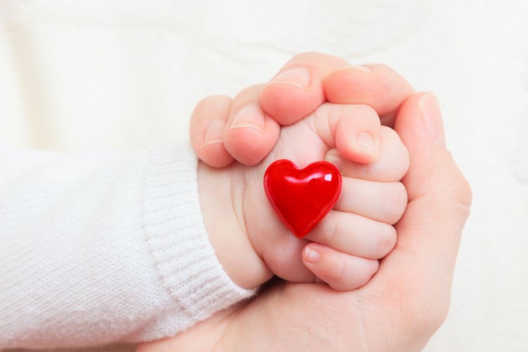 "Za život": Pet projekata za borbu protiv nasilja nad  ženama