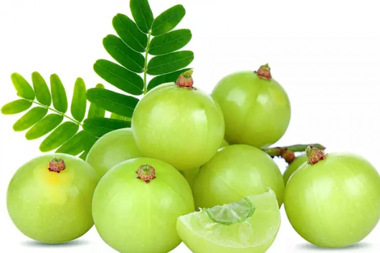 Amla: Drevna terapeutska biljka