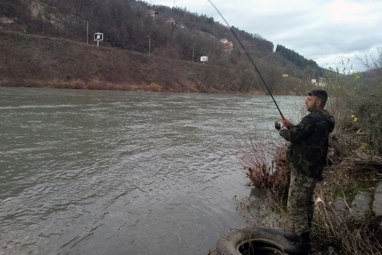 Ribolovci pokušavaju da nadmudre drinsku kraljicu