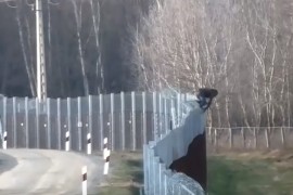Migranti preskaču ogradu na granici Srbije i Mađarske, objavljen ...